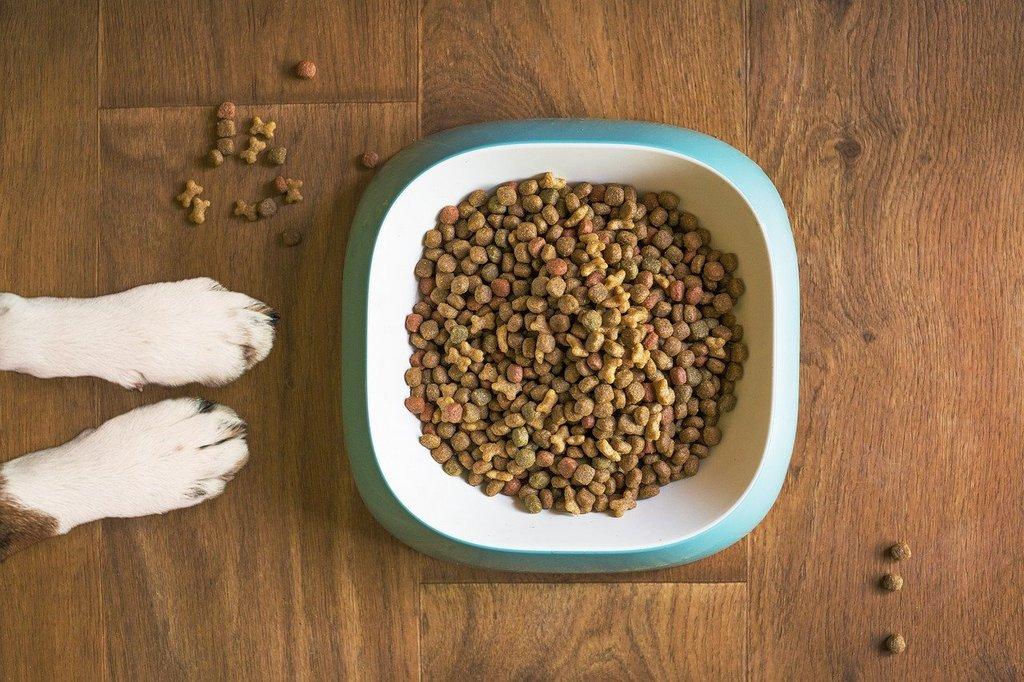11quali sono migliori crocchette per cani